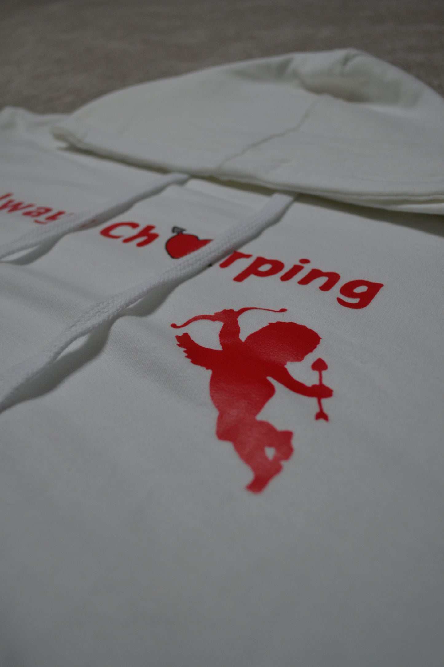 Always Chirping Valentines day hoodie